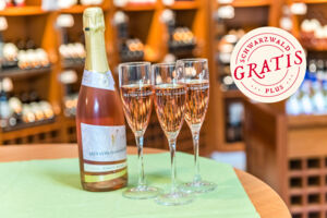 Busausfahrt - Hex vom Dasenstein Kappelrodeck