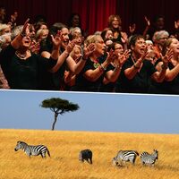 WunderWelten: Afrika Vortragskonzert - mit den Moko-Chören Heidelberg & Immanuel Schulz