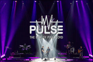 Pulse - The Best of Pink Floyd - Acoustic Side Of The Moon