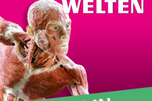 KÖRPERWELTEN | Berlin | Tagesticket