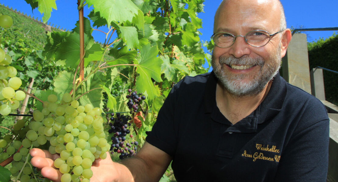 sachsische-weinverkostung-mit-brot-wein-vom-winzer-moderierte-5-weinprobe