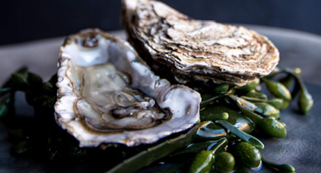 edutainment-austern-masterclass