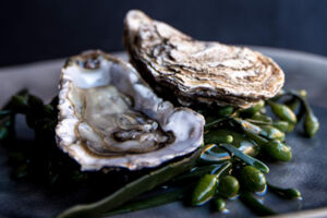 Edutainment Austern Masterclass