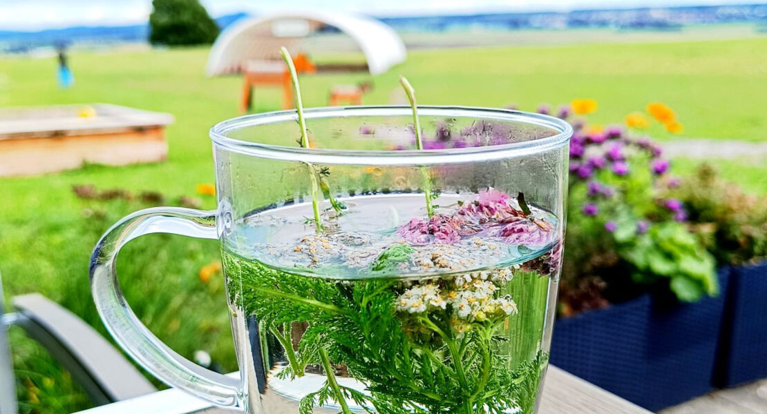 muttertag-mit-krauterpadagogin-antje-mieves-frauenkrauter-und-starke-weiber