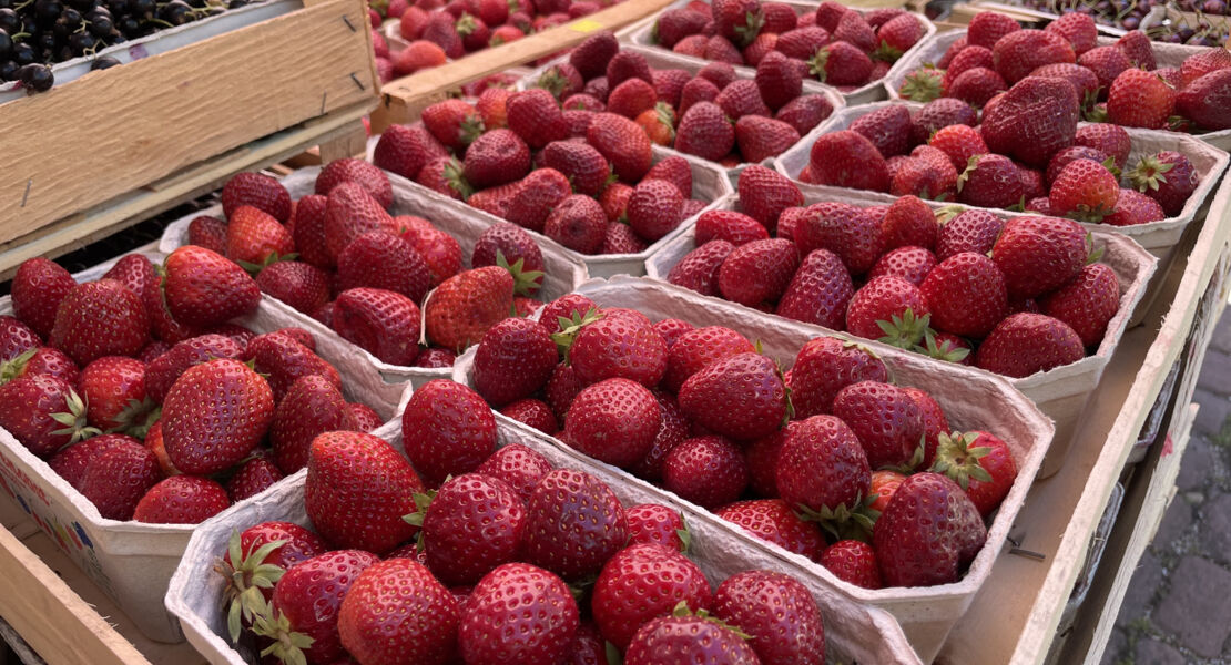 wochenmarkt-neubulach