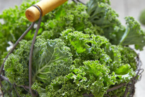 Grünkohlfahrt - Tageskreuzfahrten 2026 - Kulinarik