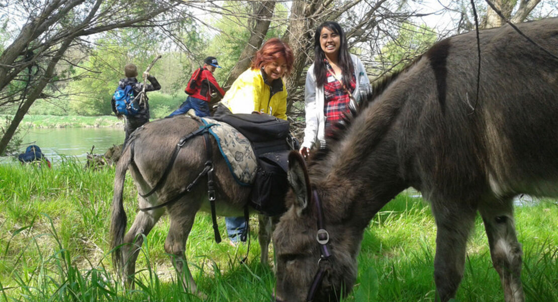 eselwanderung-wildkrauterfuhrung-mit-oliver-haury