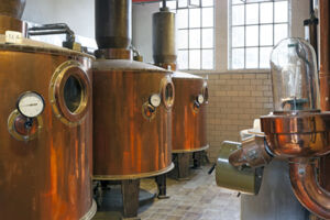 Uerdingen mit historischer Brennerei - Tageskreuzfahrten 2026 - Entdecken