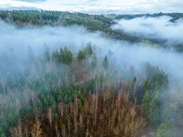 1. Globetrotter Wandertage Schwarzwald: Wanderung 