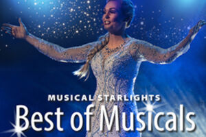 Musical Starlights - Best Of Musicals