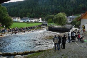 16. Talhubenfest Unterreichenbach