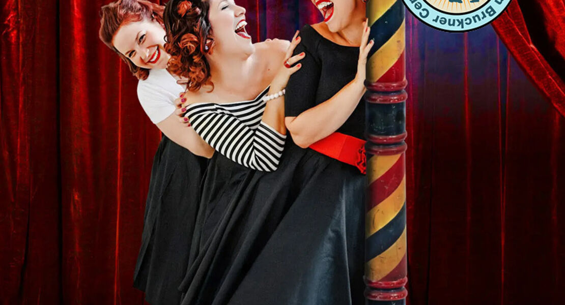 franz-kirchner-big-band-the-bessies-sunny-side-swing-50-jahre-franz-kirchner-big-band