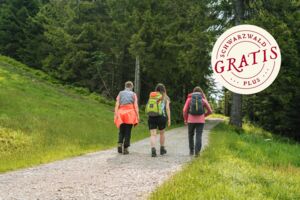 Oechsles Waldrunde - Rund um Forellenhof und Glashütte