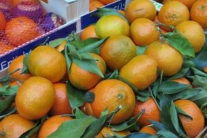 Wochenmarkt