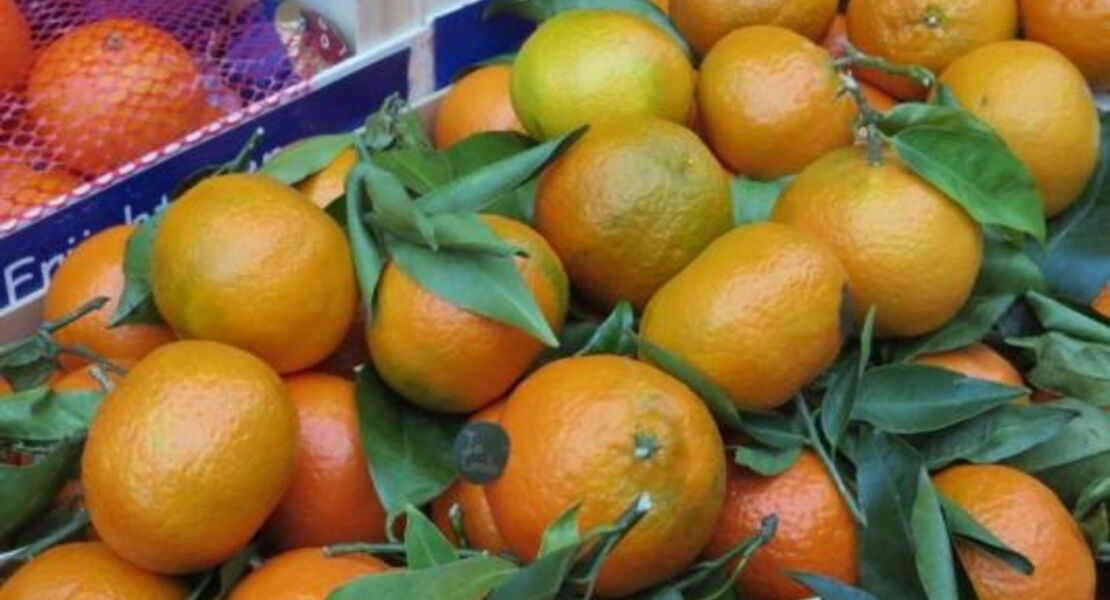 wochenmarkt-mit-grossem-herbstmarkt