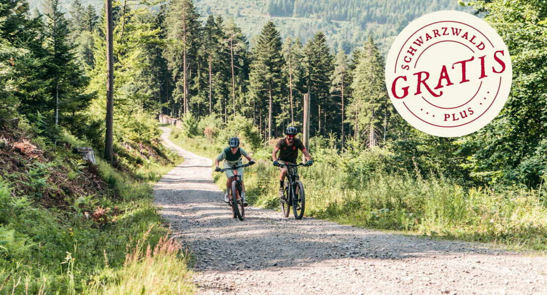 e-bike-tour-zur-hornisgrinde