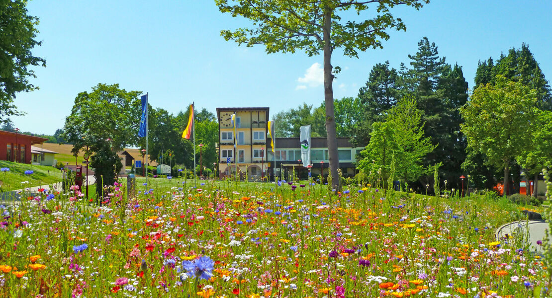 sonneninsel-streetfood-sommer-1-septemberwochenende-mit-lekka-catering