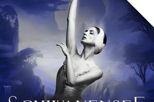 Schwanensee Grand Classic Ballet Die traditionelle Winter-Tournee - Grand Classic Ballet Die traditionelle Winter-Tournee