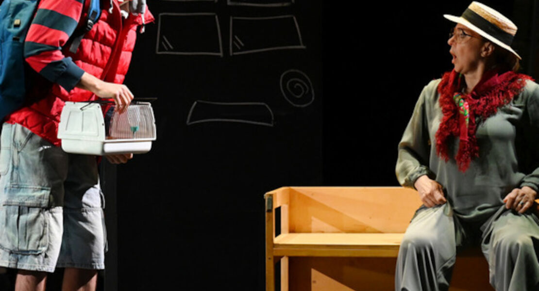 the-curious-incident-of-the-dog-in-the-night-time-das-english-theatre-frankfurt-zu-gast-im-theater-russelsheim