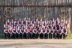 Blasorchester Salinia Sülze e.V. - Kultur im Innenhof