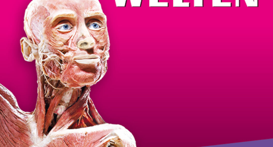 korperwelten-hanau-flex-geschenkticket