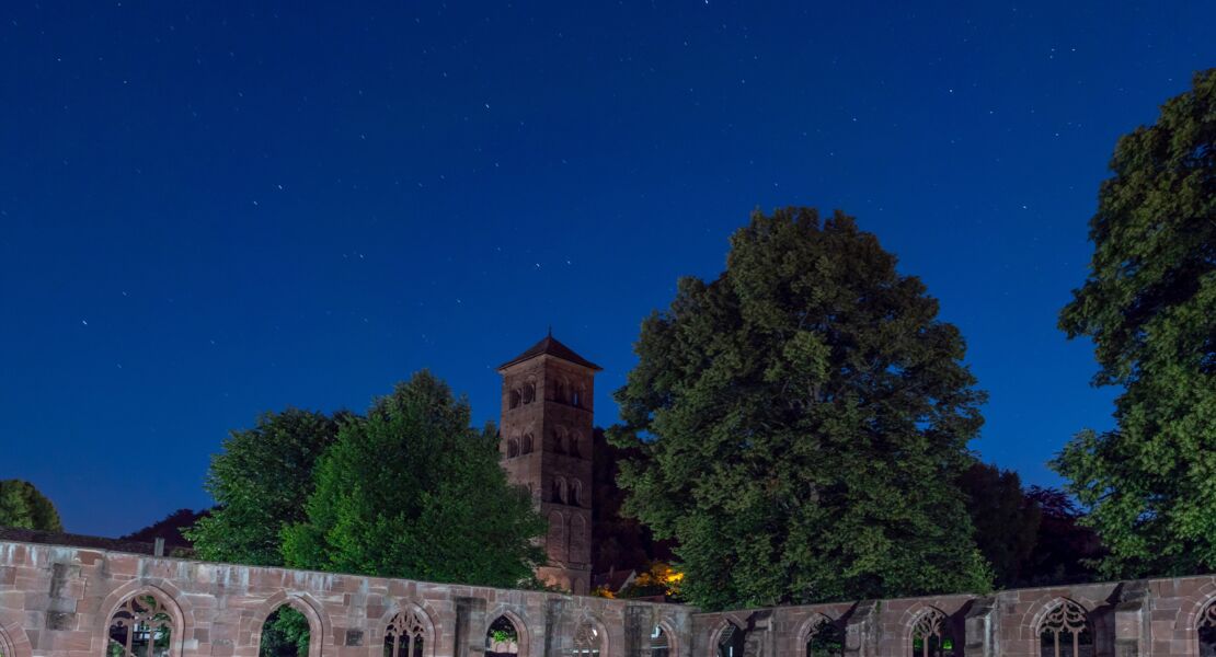 abendliche-fackelfuhrung-fur-kinder