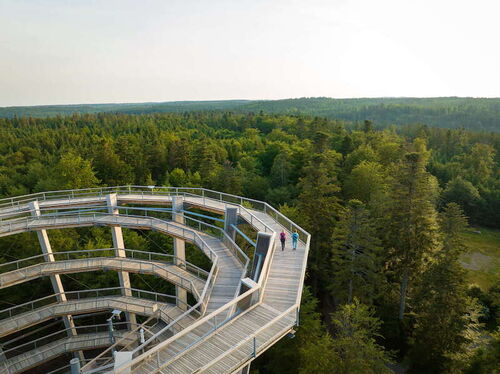 1-globetrotter-wandertage-schwarzwald-wanderung-uber-den-wipfeln-von-bad-wildbad