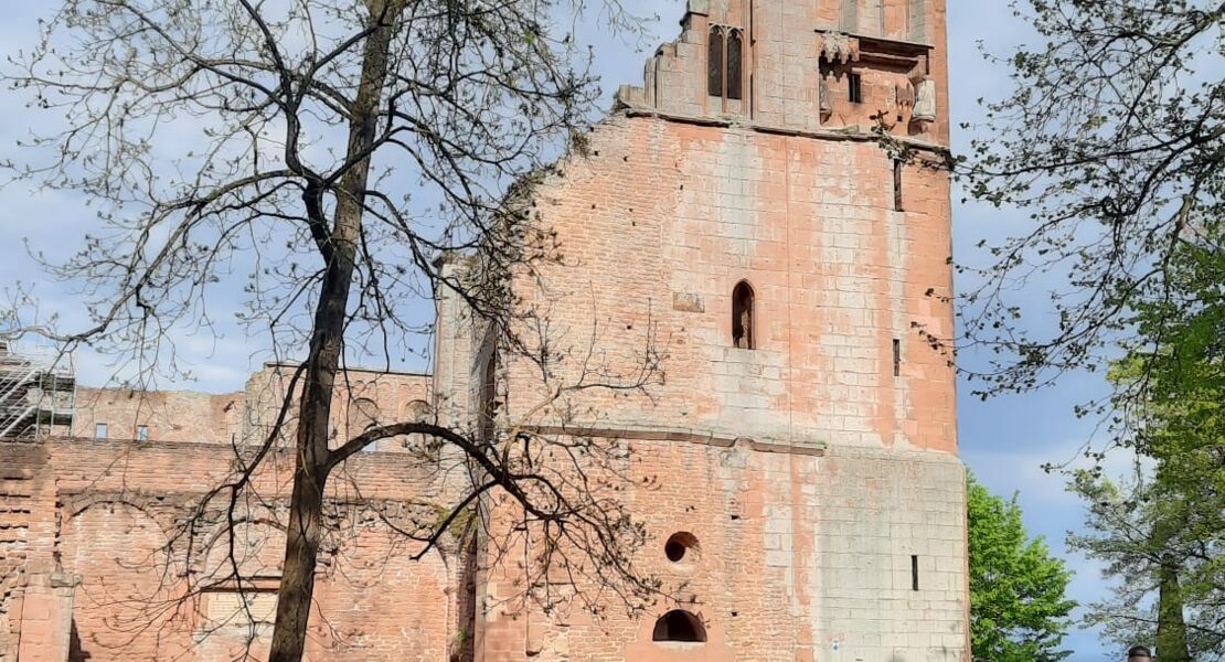 pfalzwanderung-von-gimmeldingen-nach-bad-durckheim