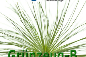 WS Faszination Grünzeug B mit 20 CEWE-GUTSCHEIN