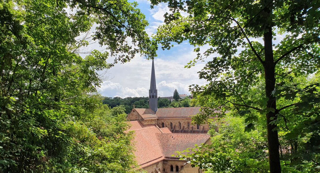 vom-mittelalter-ins-20-jahrhundert-kloster-maulbronn-und-oldtimermuseum