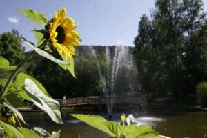 Kinderspaß im Heidelbeerdorf
