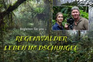 REGENWÄLDER mit Dieter Schonlau