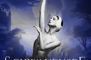 Schwanensee Grand Classic Ballet Die traditionelle Winter-Tournee - Grand Classic Ballet Die traditionelle Wintertournee