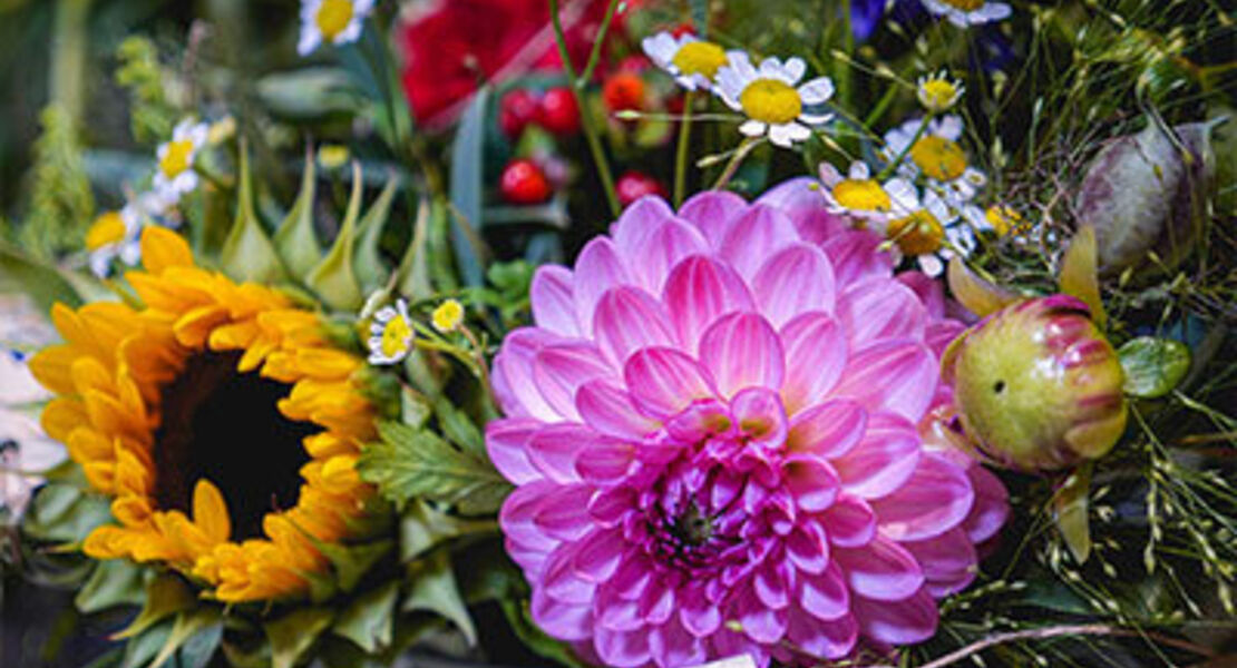 flower-loops-indian-summer