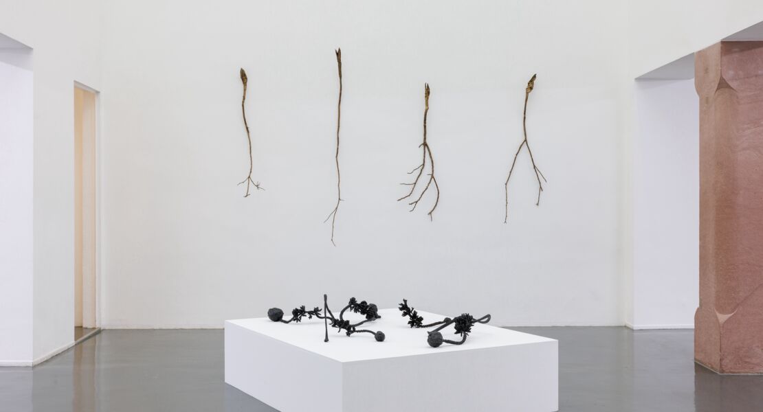 fuhrung-stefan-bertalan-und-plantsintelligence