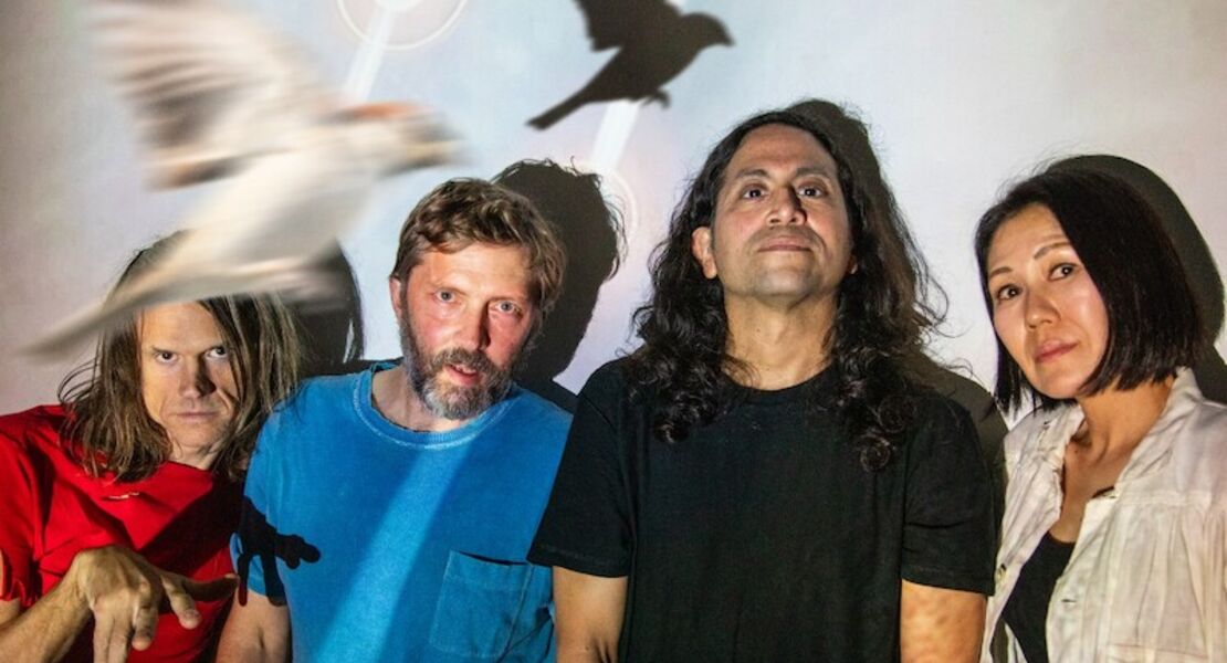 deerhoof