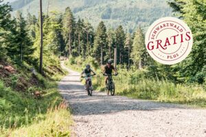 E-Bike Tour zur Hornisgrinde
