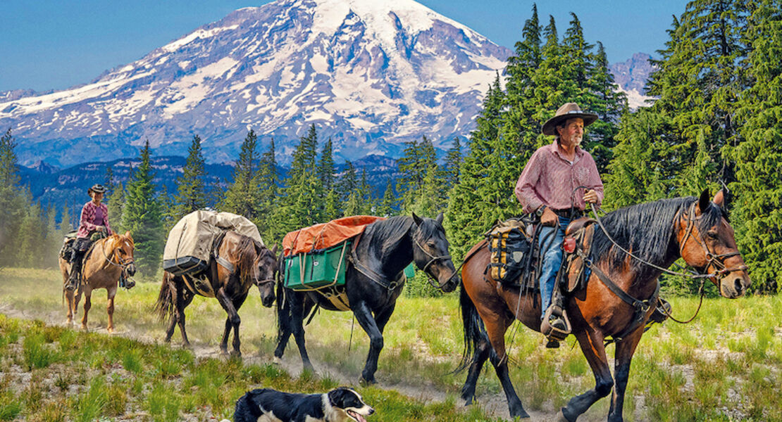 die-abenteuerreiter-long-way-home-live-reportage-von-gunter-wamser-sonja-endlweber