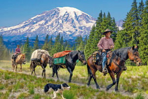 Die Abenteuerreiter - Long Way Home - LIVE - Reportage von Günter Wamser & Sonja Endlweber