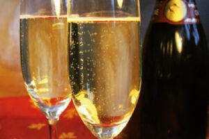 Champagnerfest 2026 - Degustation 11 - 17 Uhr