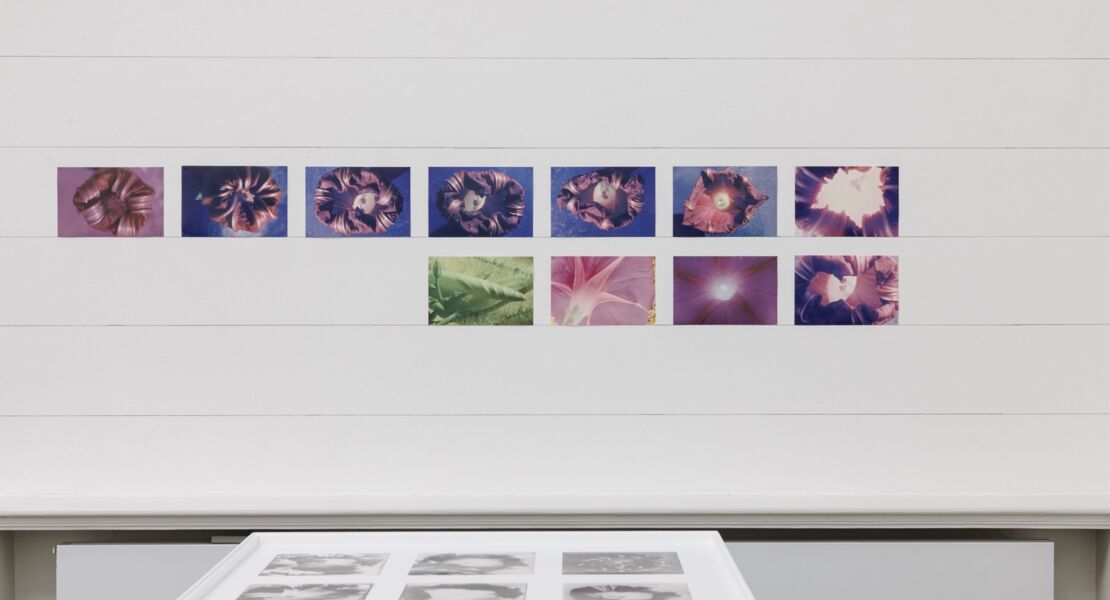 fuhrung-stefan-bertalan-und-plantsintelligence