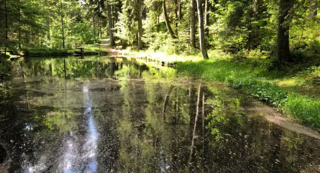 durch-das-wilde-zugbachtal-zum-paradies