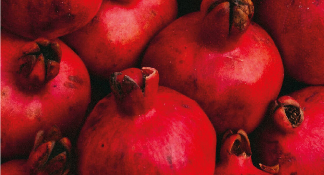 naschen-hat-tradition-vom-garten-eden-zum-permagarten