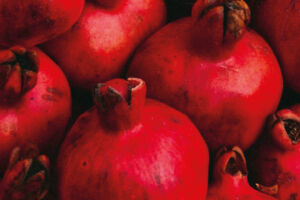 Naschen hat Tradition: vom Garten Eden zum Permagarten