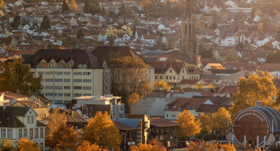 herbstzauber-stadtgeschichte-zwiebelkuchen-neuer-wein