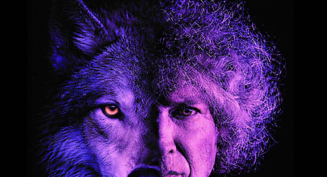 ich-steppenwolf