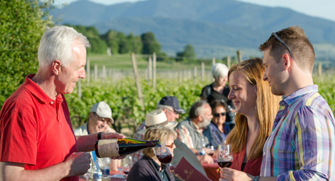 kulinarische-weinwanderung-auf-dem-bad-krozinger-rebberg