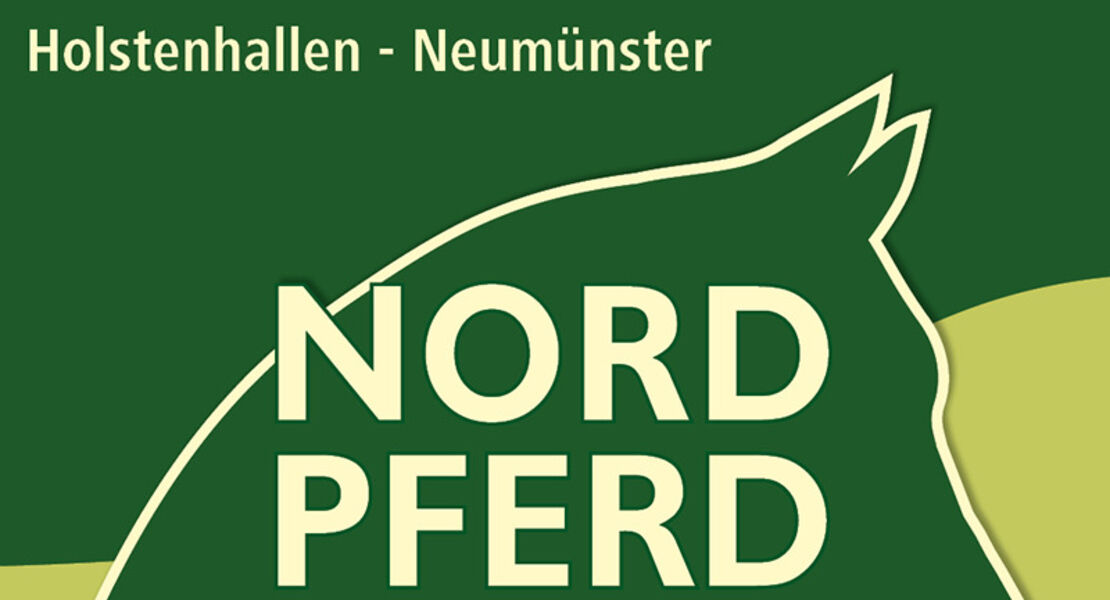 nordpferd-die-welt-der-pferde-erwartet-sie