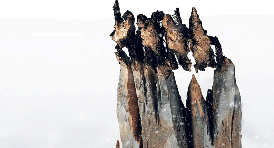 tous-sur-la-banquise