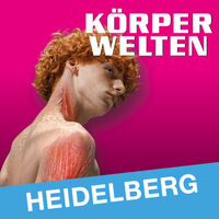 KÖRPERWELTEN | Heidelberg | Flex- / Geschenkticket